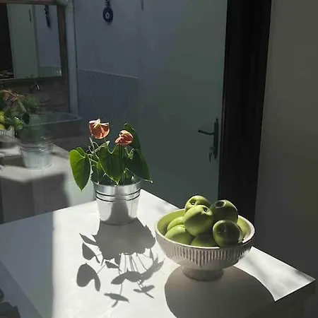 Casa Zen Villa
